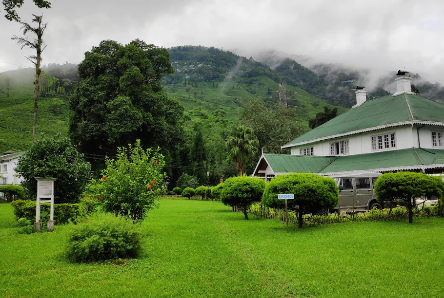 Tumsong Tea Estate in Darjeeling