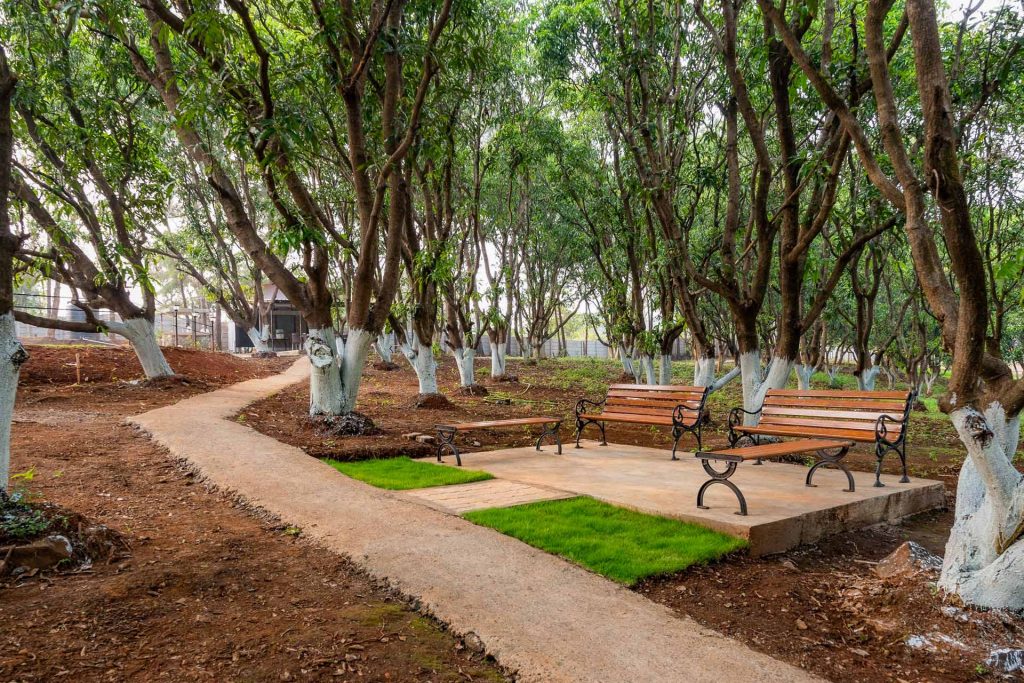 Set amidst a 7-acre patch of mango plantations