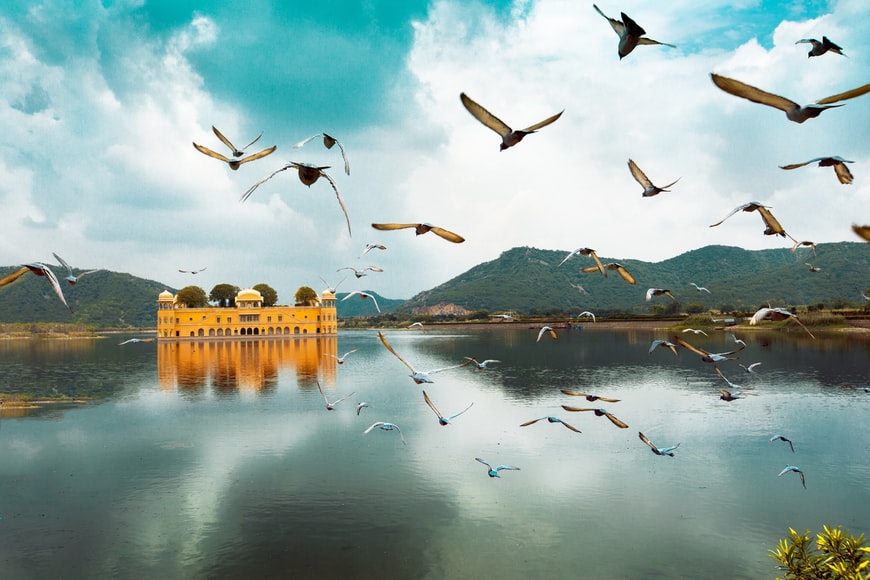 Pay a visit to Jal Mahal 