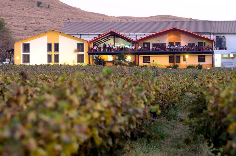 Sula Vineyards in Nashik