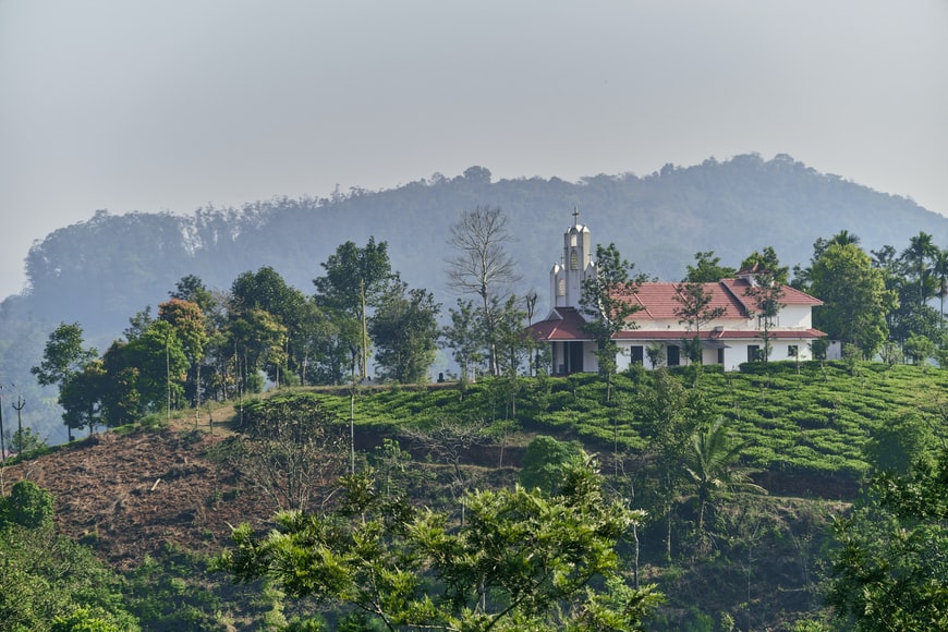 Wayanad is bathed in lush greenery, including its tea tours.