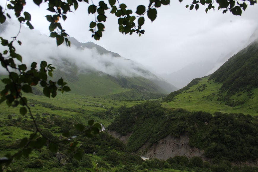 Valley of Flowers is an amazing trekking site. 