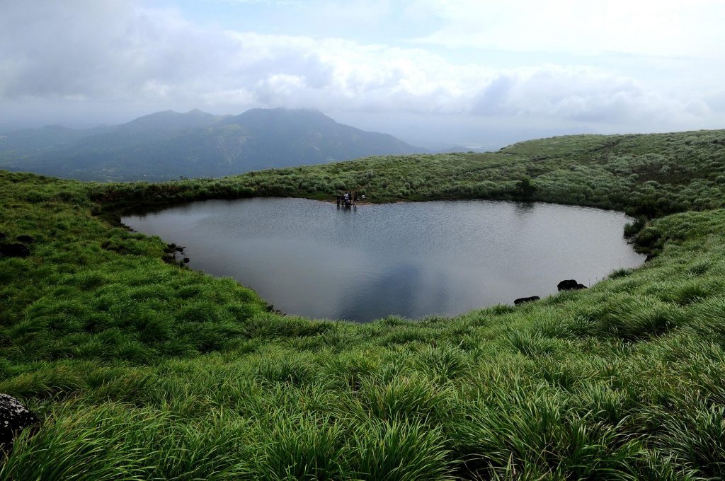 Wayanad lake