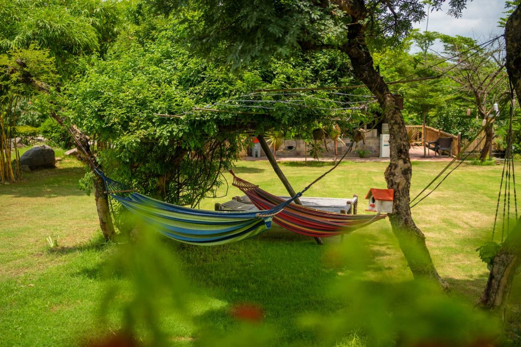 hammock in lawn