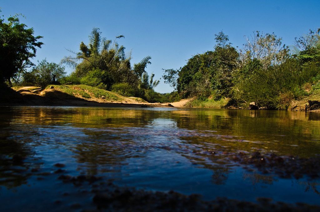Verdant Terrains at Sakleshpur