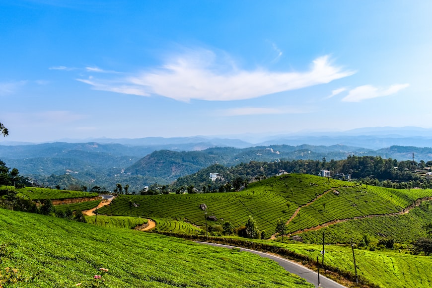 Munnar is one of the best places to visit in August.
