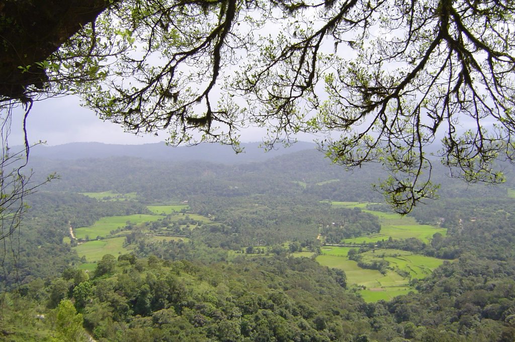 coorg