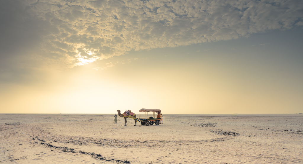 Winter season is the best time to visit Rann of Kutch
