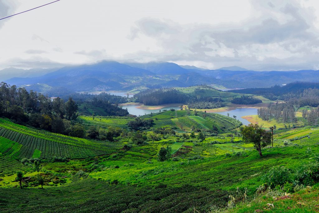 greenery hill view in ooty