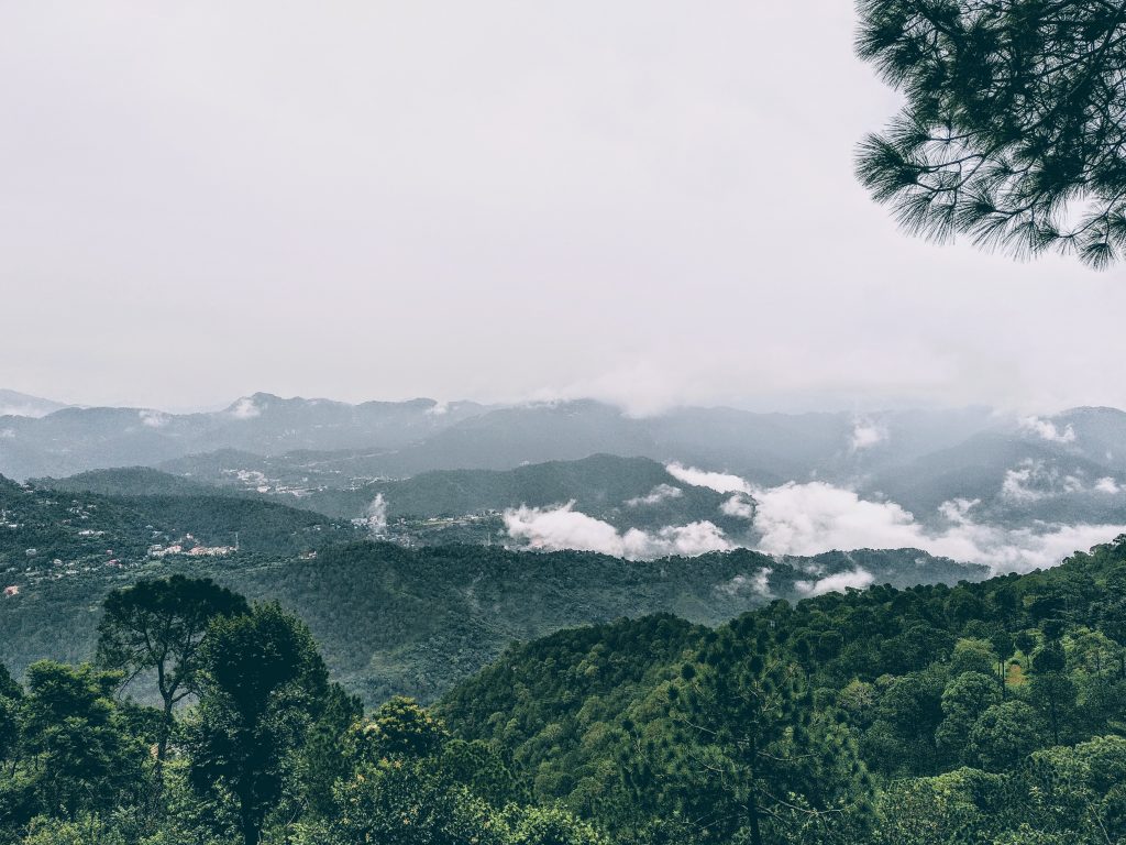 mountain view in kasauli