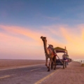 detailed guide on the Rann of Kutch