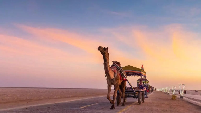 detailed guide on the Rann of Kutch