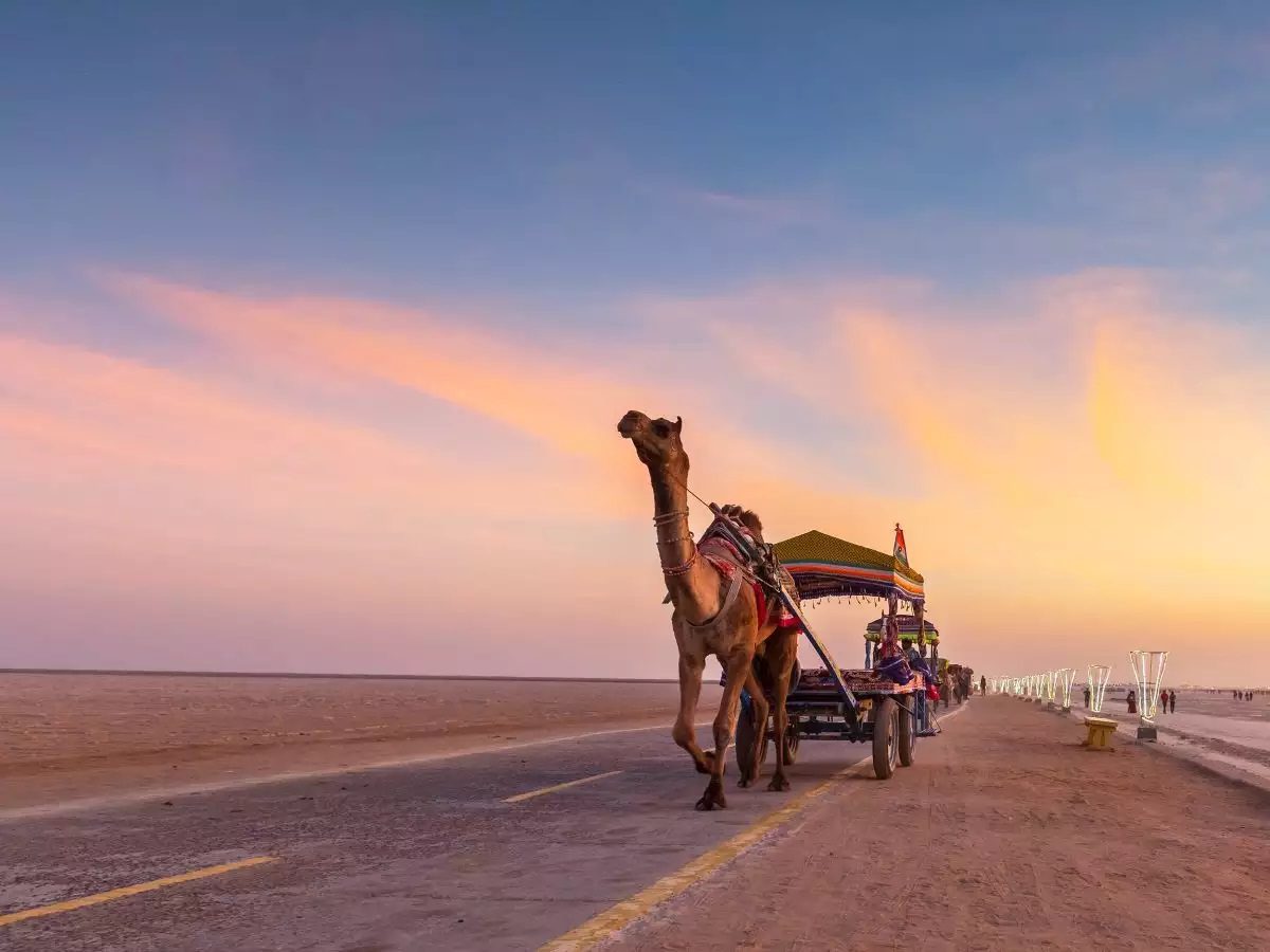 detailed guide on the Rann of Kutch