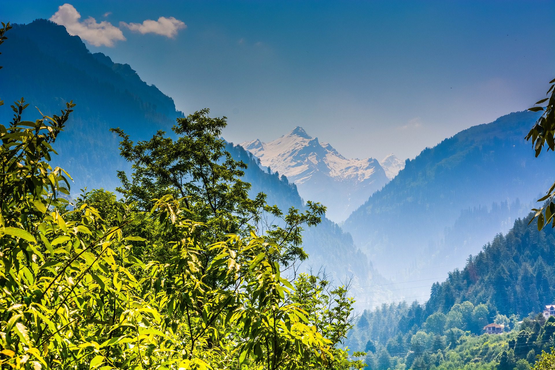 Snowclad mountains in Manali with thriving greenery