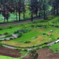 Lush greenery, beautiful Nilgiris, vast meadows, excellent weather in Ooty