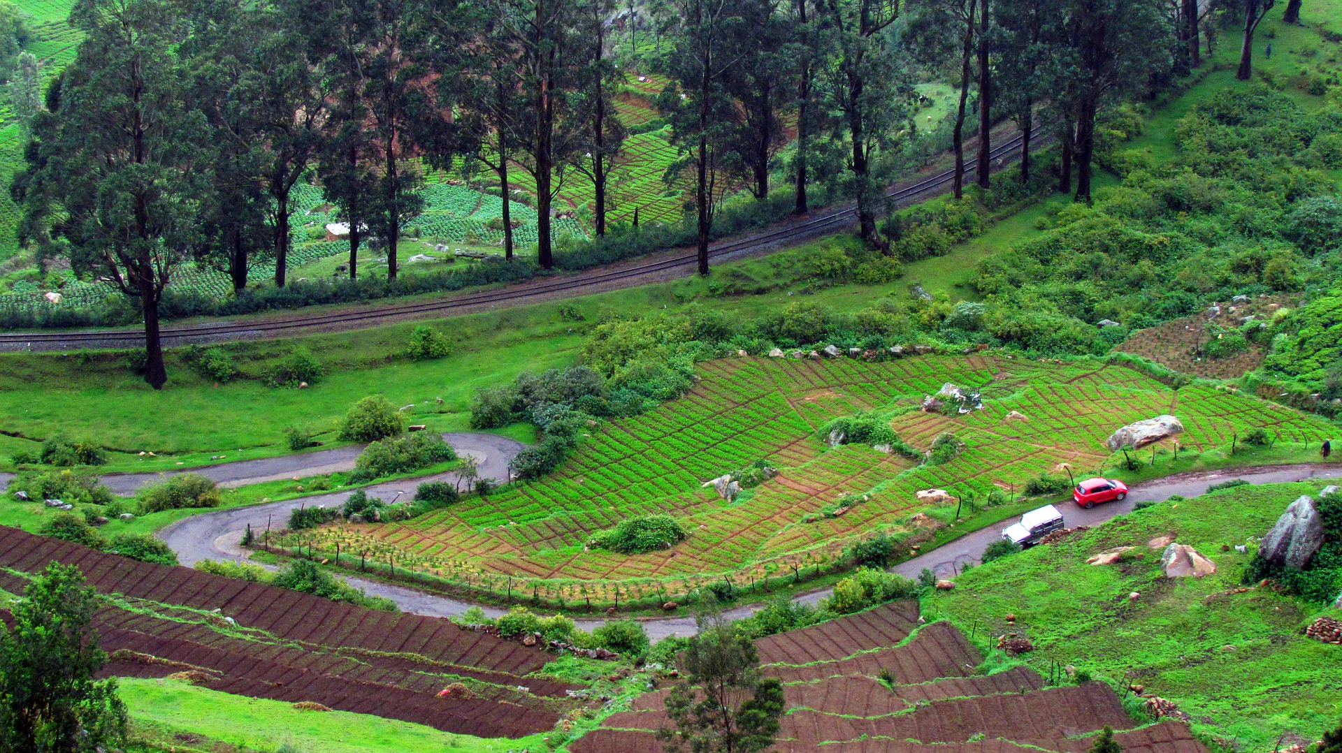 Lush greenery, beautiful Nilgiris, vast meadows, excellent weather in Ooty
