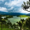 The Ultimate Eat/See/Do Guide To Munnar