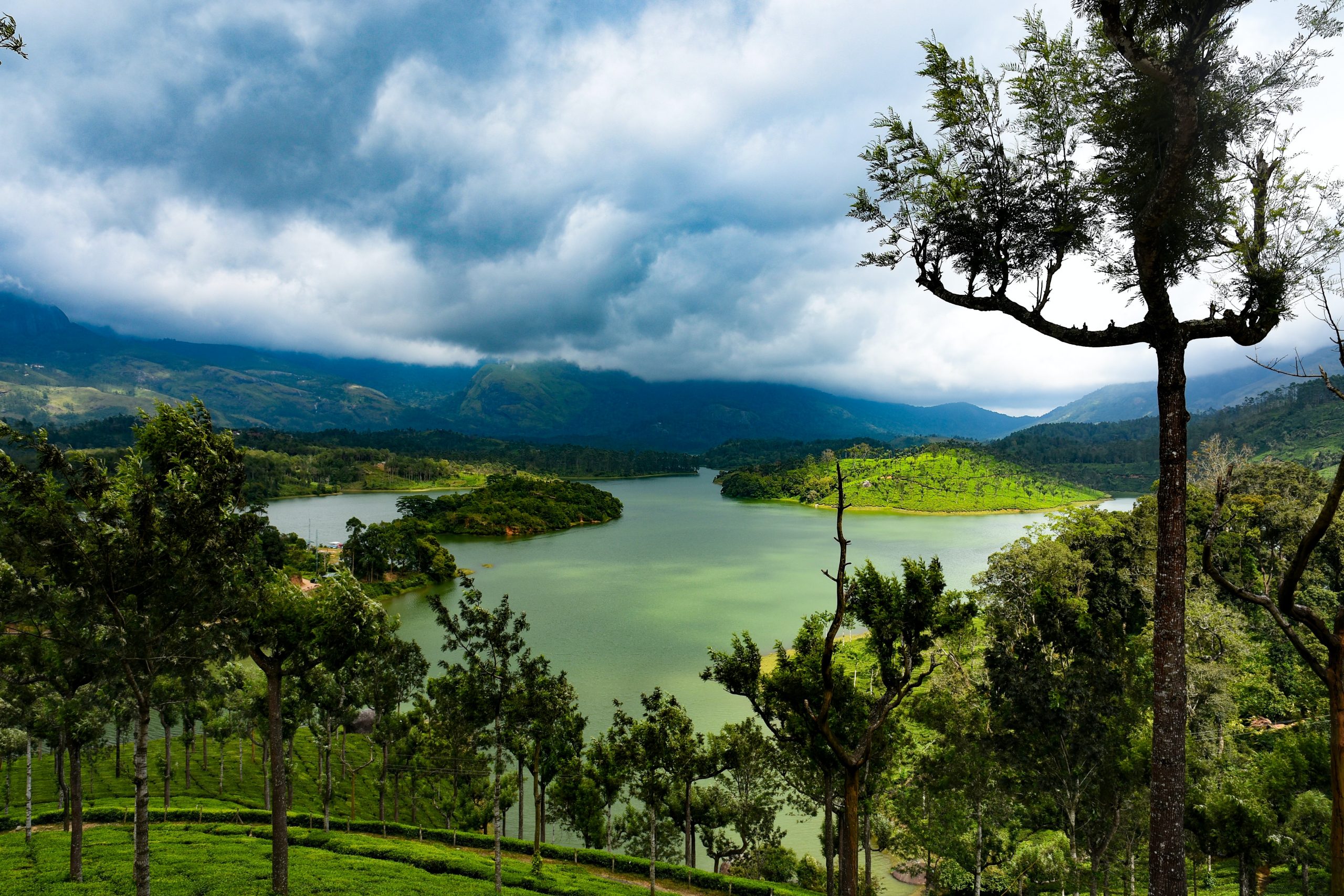 The Ultimate Eat/See/Do Guide To Munnar