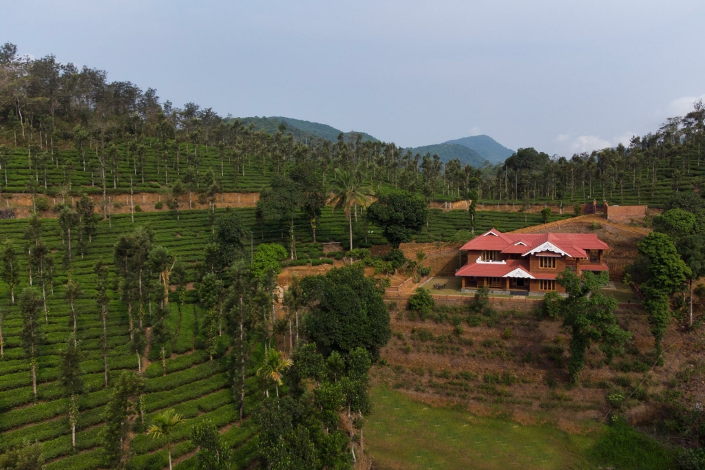 tea plantations homestays in Wayanad