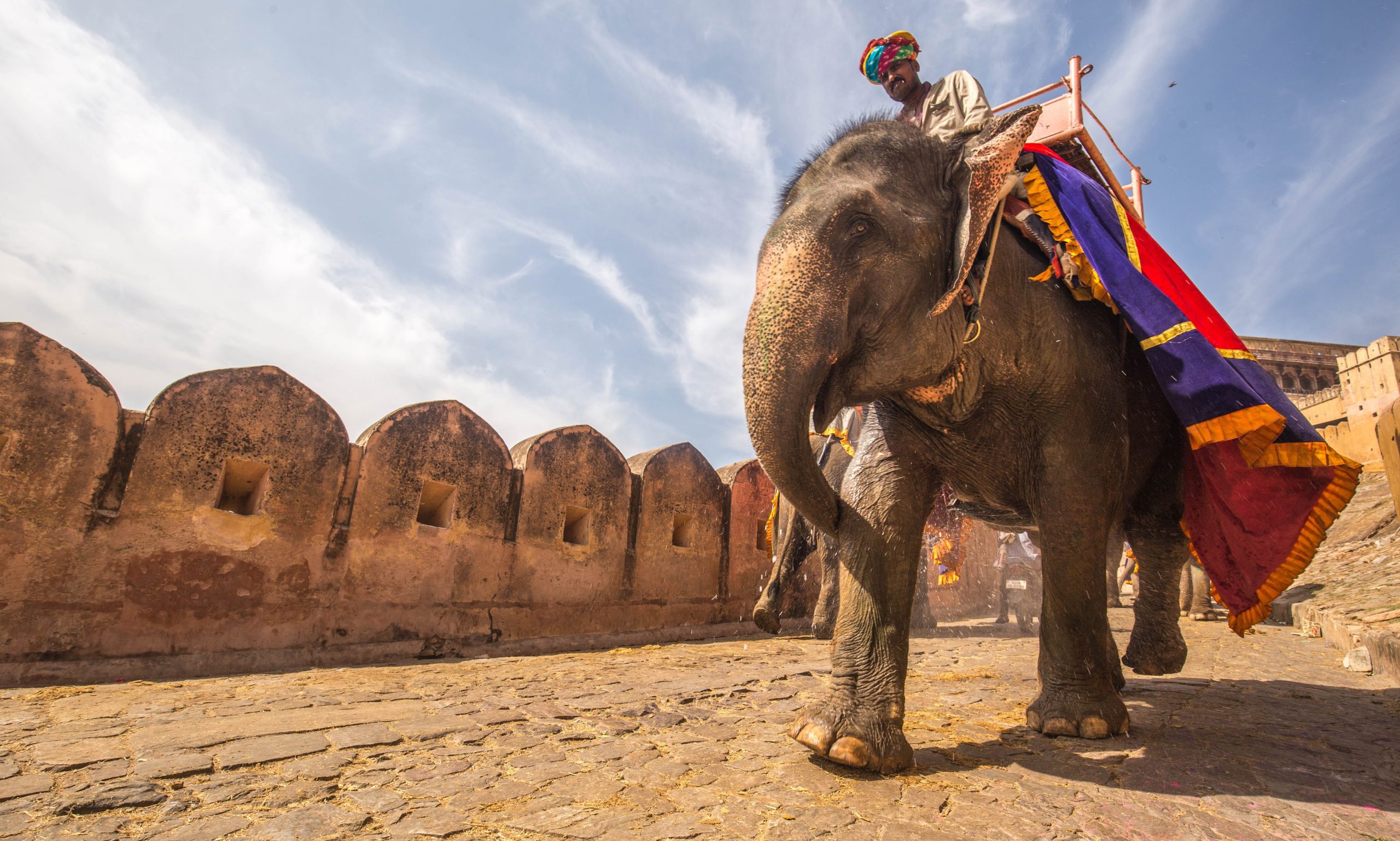 elephant ride in jaipur