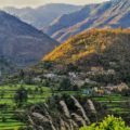 mountain view near ganges in rishikesh