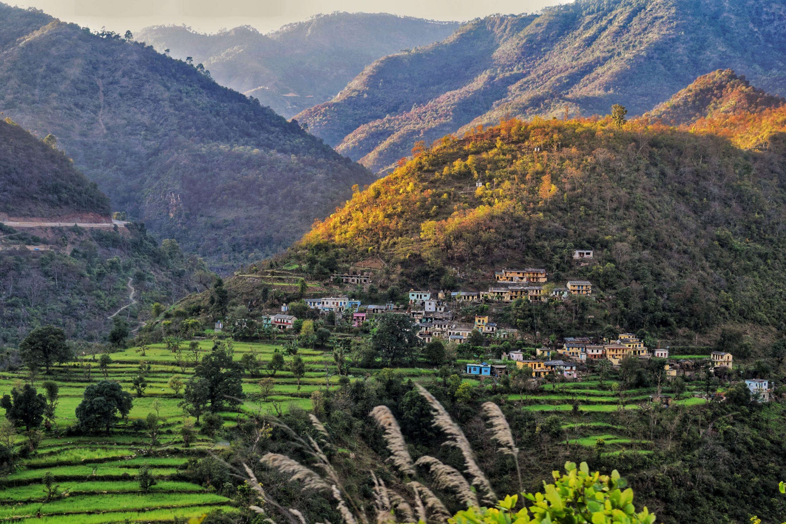 mountain view near ganges in rishikesh