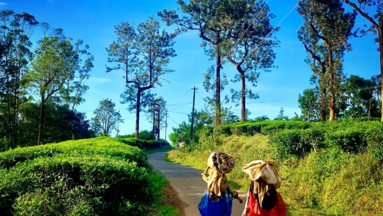 places to visit near bangalore