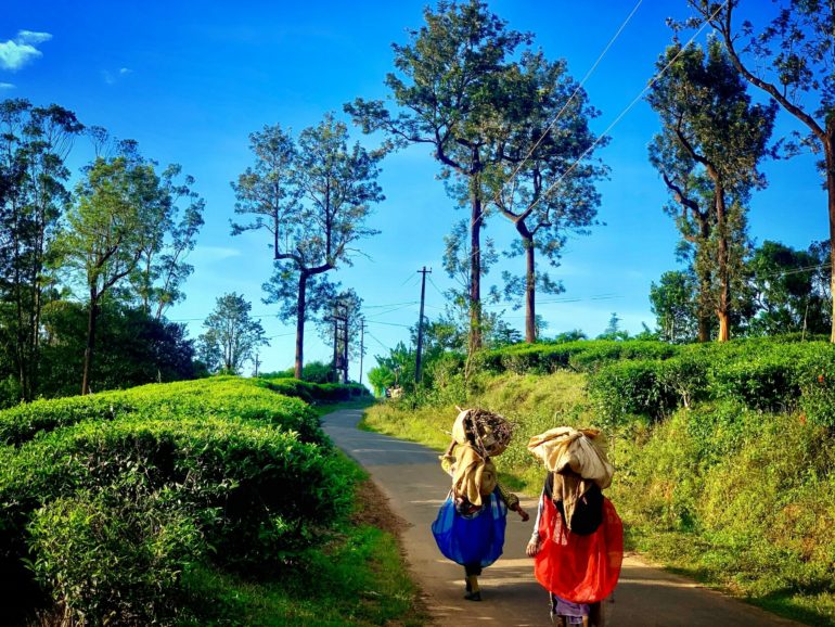 places to visit near bangalore
