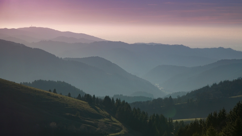 homestays in Kasauli for couples