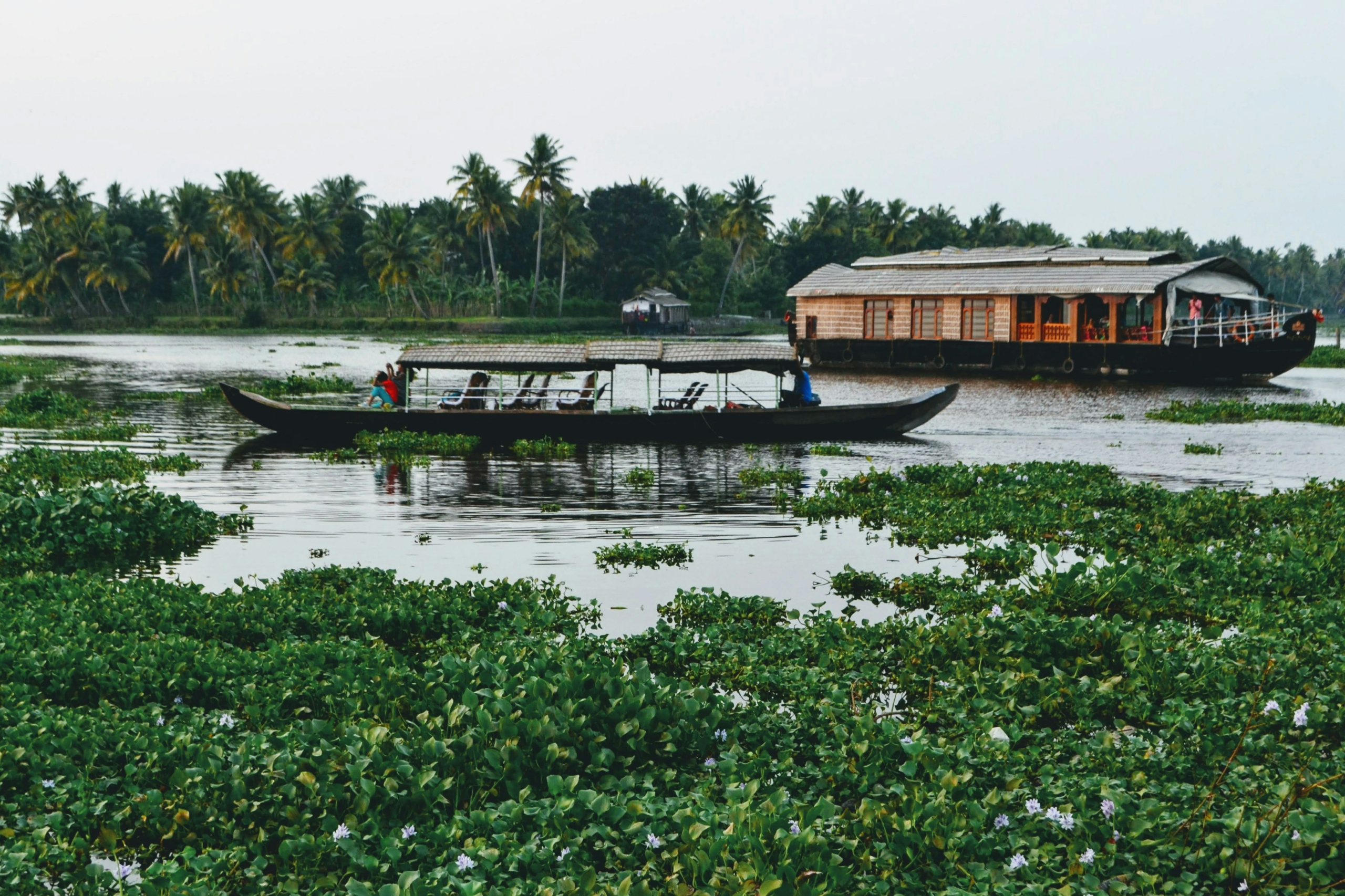 Best places to visit in india in summer ooty alleppey