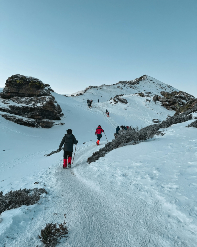 Top 8 Summer Treks in India for Beginners