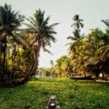 kerala in summer