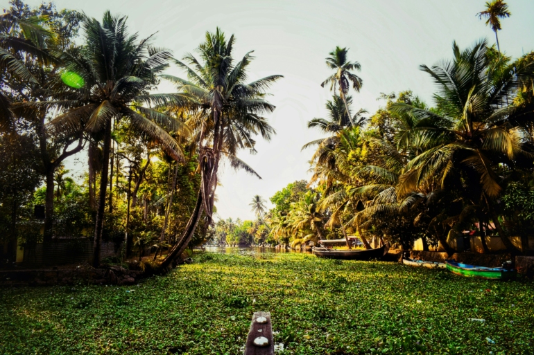kerala in summer