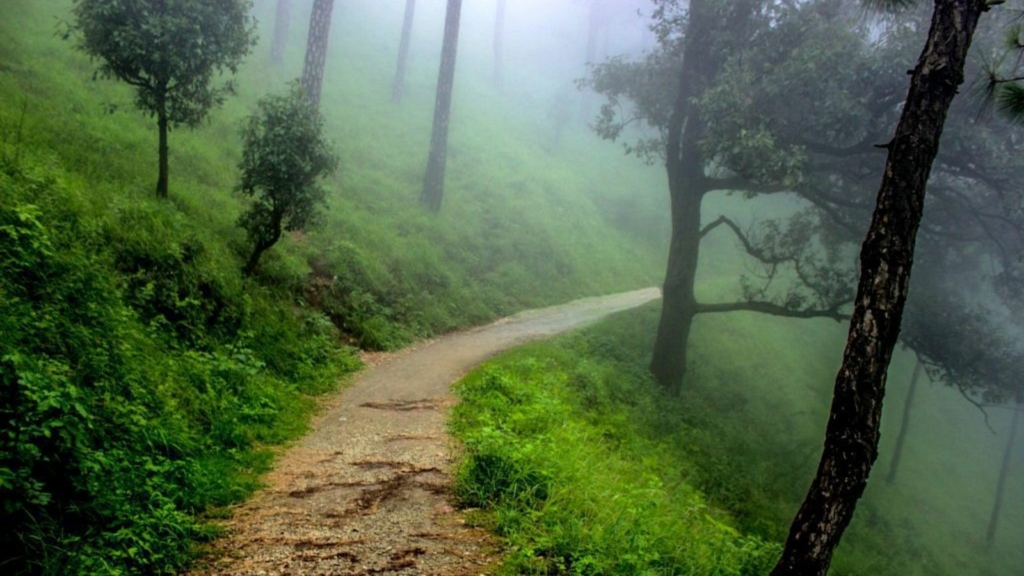 Gilbert Trail, Kasauli
