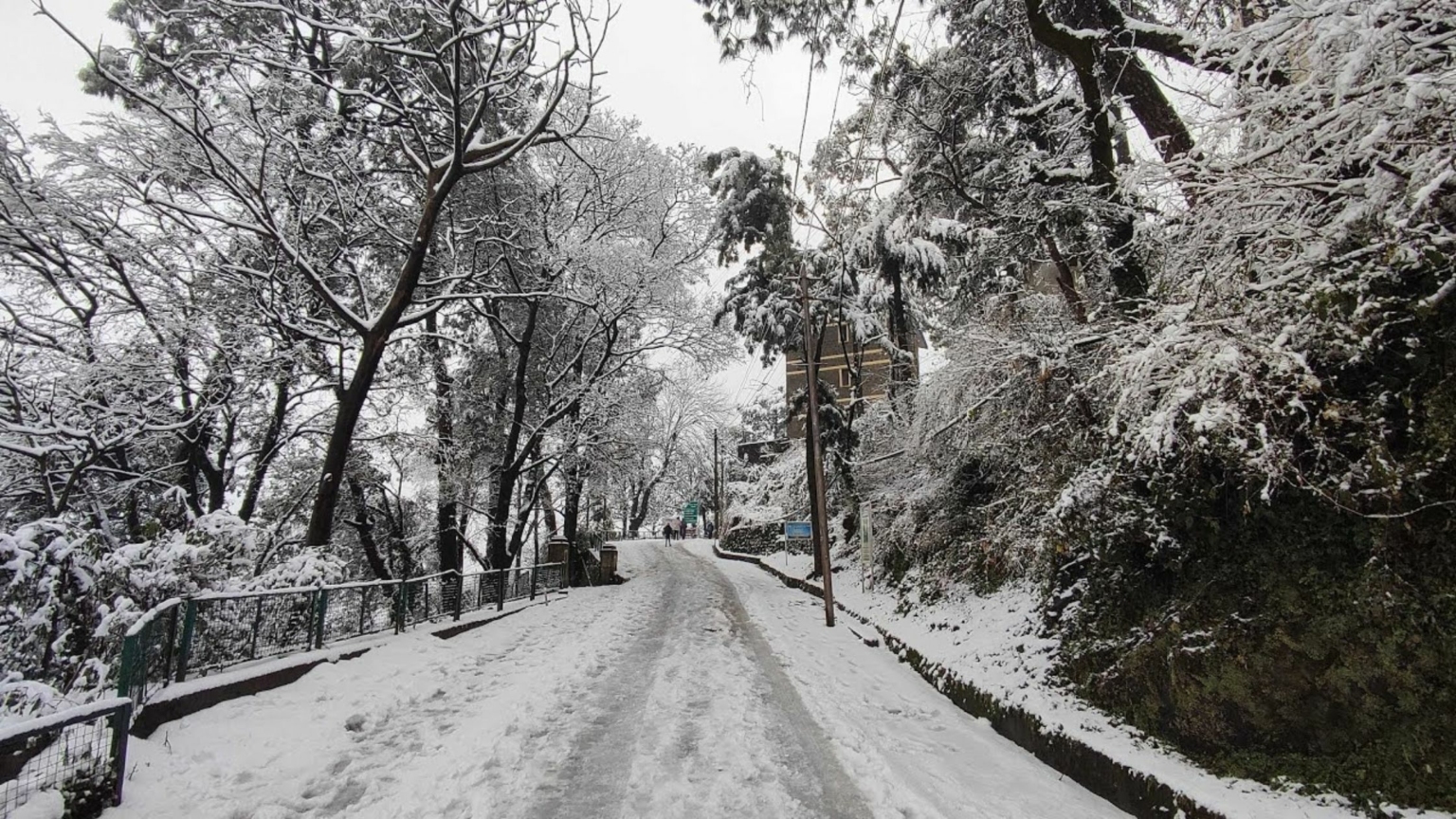 Best Time to Visit Kasauli