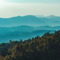 things to do in coorg