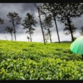 landslide-prone hill stations in India