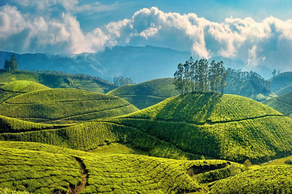 munnar weather in monsoon
