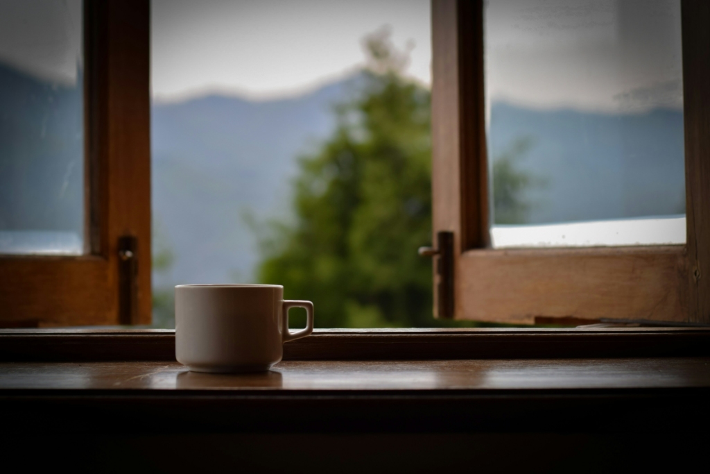 Nilgiri Tea, Things to do in Coonoor