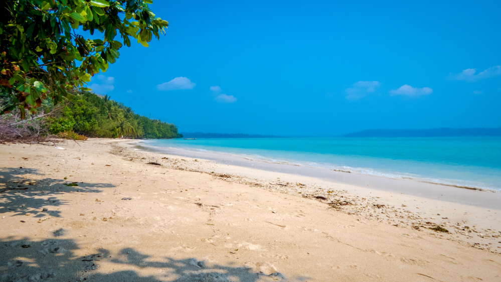 Things to do in Havelock Islan
PC: Raghunath Thirumalaisamy - https://www.flickr.com/photos/raghunath-t/32880927502