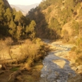 Things to do in Chail