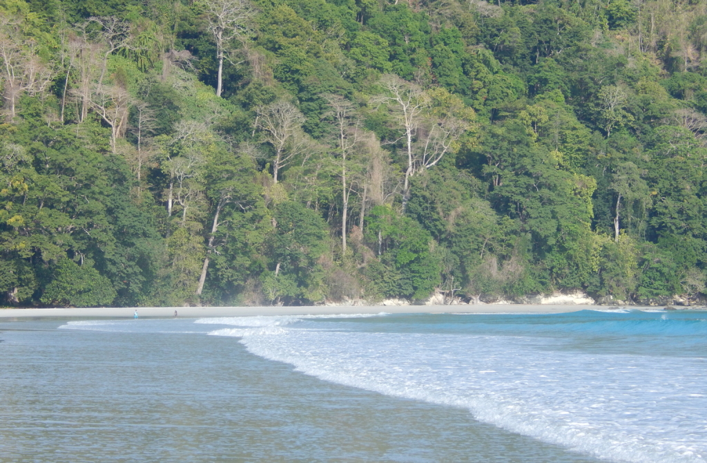 Radhanagar Beach, one of the cleanest beaches in Havelock Island
PC: Mvbellad via Wikimedia
https://commons.wikimedia.org/wiki/File:Radhanagar_Beach,_Havelock_Island,_Andaman,_India.jpg