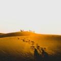 Thar Desert Safari Guide
