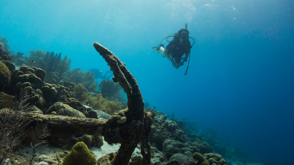 Scuba diving in Havelock Island
PC:
Kris-Mikael Krister via Unsplash
https://unsplash.com/photos/scuba-diver-swimming-underwater-CliuXLGbKV4