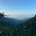Tirupati Balaji temple in Tirumala hills