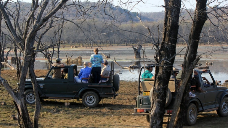 pench jungle safari