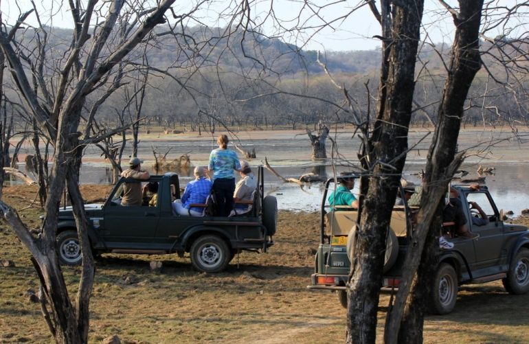 pench jungle safari