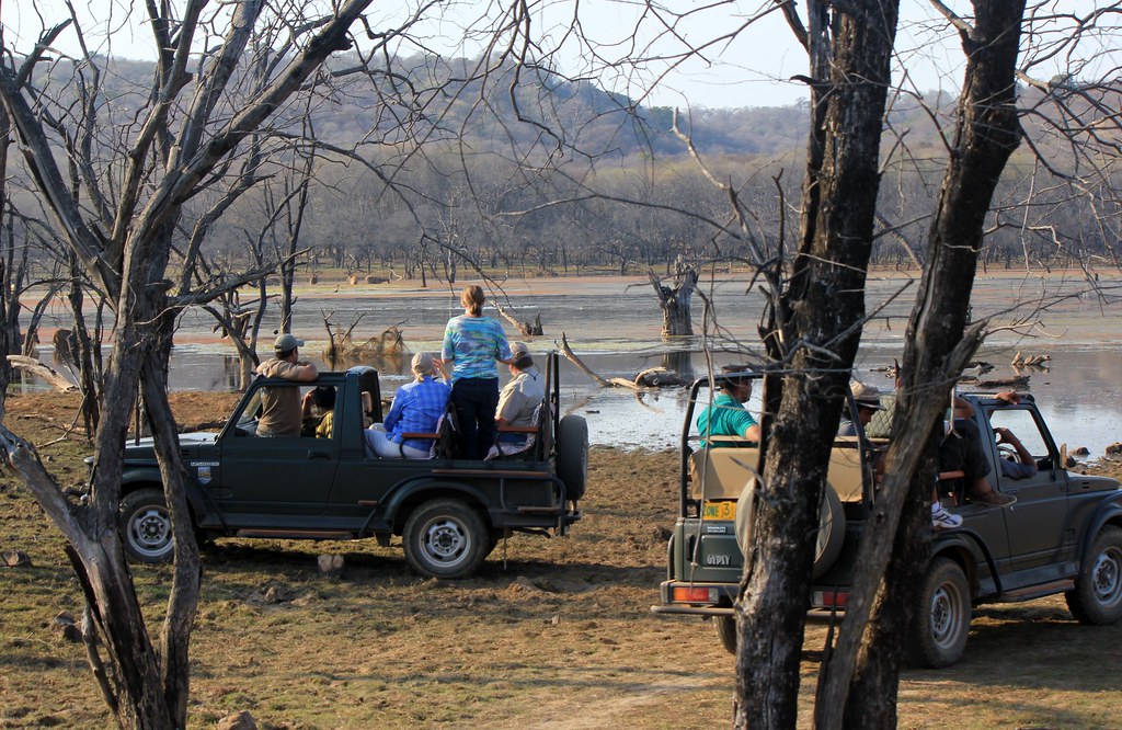 pench jungle safari