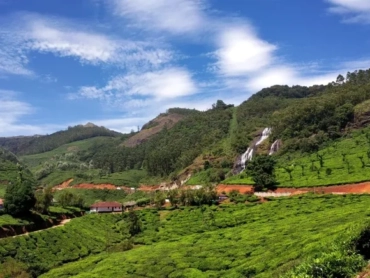 kochi to munnar in august