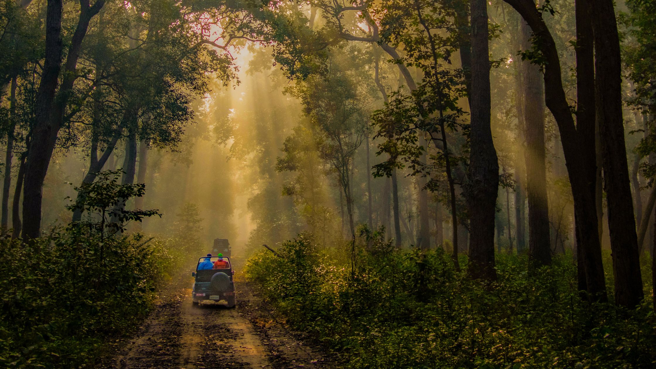 Jim Corbett in December: December Destination